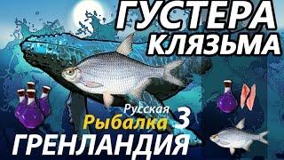 Густера Клязьма / рр3 [ Русская рыбалка 3.9 Гренландия]