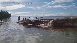 Indonesien: Unheimliches Wesen aus dem Meer stellt Inselbewohner vor ein Rätsel