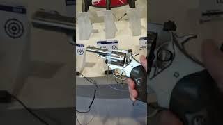 Ruger Revolver at the Gun store