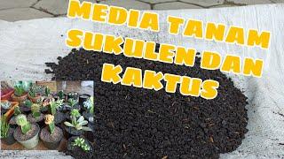 MEDIA TANAM SUKULEN DAN KAKTUS