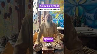 Доши в Аюрведе: ПРОСТО О СЛОЖНОМ #аюрведа