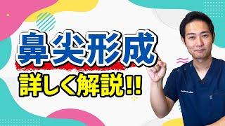 どんな施術？鼻尖形成について解説【鼻の名医】