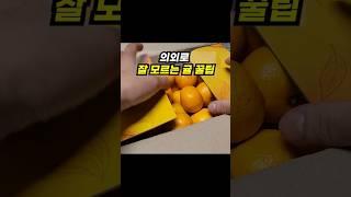 의외로 잘 모르는 귤 꿀팁