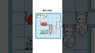 Best Cat Funniest Game Ever Played  #games #funny #shortsviral #gameshorts #fun #viralvideo