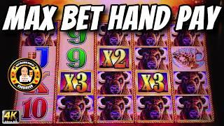 MAX BET JACKPOT HAND PAY on Buffalo Gold