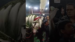 sabir badsha brmdgi 14 safar,rahwar e Hussain asw