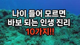 나이 들어 모르면 바보 되는 인생 진리 10가지 #노후준비 #자기계발 #인생진리