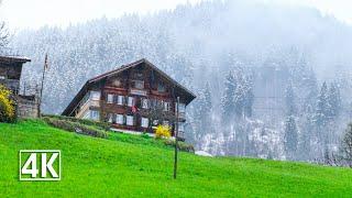 Rainy day walk in a beautiful Swiss village  Le Sépey