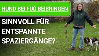  Hund bei Fuß beibringen: Sinnvoll für entspannte Spaziergänge? ️ Praxisvideo ️