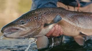 Respect Your River - Hooké Film Presented By LOOP TACKLE