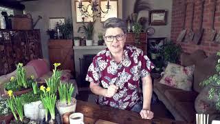 Winter Bulbs - Live with Tanya Visser