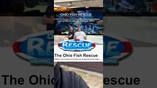 Ohio Fish Rescue! #fish #fishkeeping #shorts