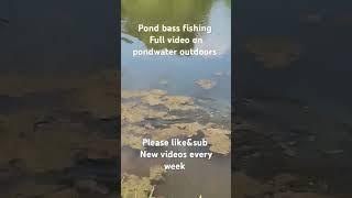 #fishing #catchingfish #bassfishing #bassfishingvideo #fishspecies