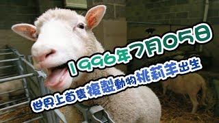 【歷史上的今天】1996年7月05日：世界上首隻複製動物 桃莉羊出生