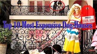 Top 10 most Luxurious Dog Houses in the World | Most Expensive 2017