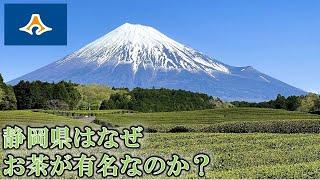 静岡県はなぜお茶が有名なのか