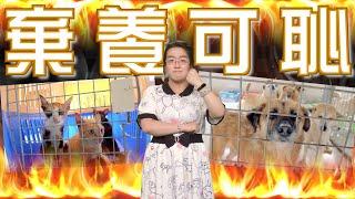 【on.cc東網】【東網點評：移民自己顧自己　接收嗰個「恭喜你」】