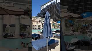 Luxor pool vibes Las Vegas!#casino #lasvegas #poolparty