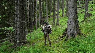 24h SOLO ASMR bivouac bushcraft en forêt