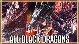 ALL BLACK DRAGONS So Far In Monster Hunter - Monster Hunter Lore and Ecology