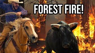 Saving Cattle From a FOREST FIRE!