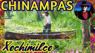 Chinampas de Xochimilco