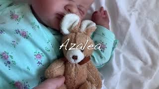 Reborn doll Azalea By Laura Lee Eagles/artist Tanya Latashevska