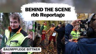 rbb bei Baumpflege Bittner BEHIND THE SCENES