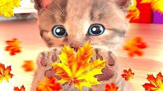 CUTE LITTLE KITTEN ADVENTURE TOP ANIMAL EDUCATIONAL VIDEO FOR PRESCHOOLERS KIDS #1141