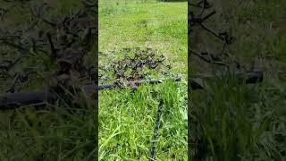 Titan 4' x 4' drag harrow for ATV/UTV used to spread horse poo on the pasture.
