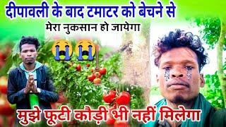 Happy_Diwali Ke_Bad_Tamatar_Nuksan  #Happy_Dipawali Ki_Shubhkamnaen ll Dashrath Vlogs