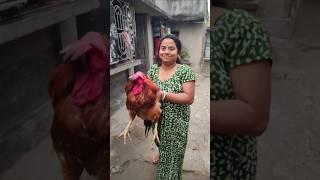 hattimatim Tim Tara Mathe pare dim #trending #youtube #viralshorts #mismanu#subscribe