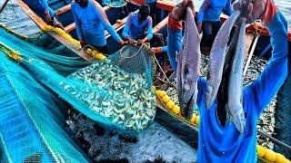 Today's Amazing fishing! We Caught Tons Of Big King Fish & Mackerel Fish| First Day In The Deep Sea