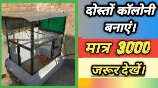 Home made budgies birds colony only 3000 || how to make birds colony.