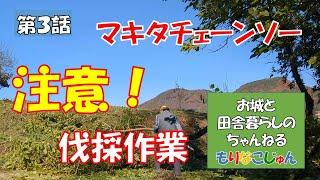 012 【40年間放置の畑を再生！】第3話