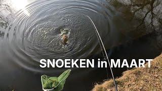  SNOEK WAKKER door Warm Weer! ️
