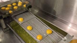 Egg yolk separator