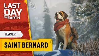 Last Day on Earth – Saint Bernard Teaser