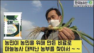 [한국농수산TV] 농민이 농민을 위해 만든 비료  사용해  마늘농사 대박난  농부를 찾아서