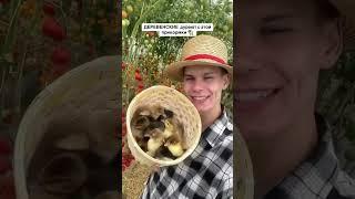 Отправляй другу из деревни   Заходите к нам в гости
