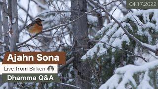 Live from Birken: Dhamma Q&A with Ajahn Sona (04.17.2022)