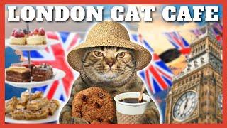 AFTERNOON TEA WITH 20 CATS?!? - London Cat Cafe