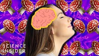 How Magic Mushrooms Affect Your Brain