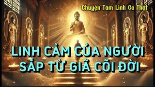 Chuyện Tâm Linh Có Thật: Linh Cảm Của Người Sắp Từ Giã Cõi Đời