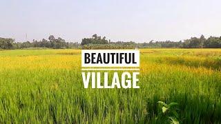 Beautiful Village in West Bengal – Natural Beauty of a Village