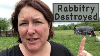 Rabbitry Destroyed and Rebuilt