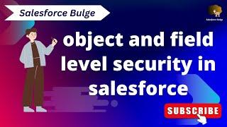 object and field level security in salesforce | salesforce bulge | learn salesforce for beginner