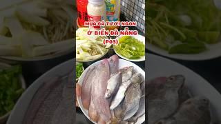 Đi biển Thanh Khê Đà Nẵng mua cá giò, cá lưỡi trâu tươi ngon, giá rẻ (P02) #food #cooking #amthuc