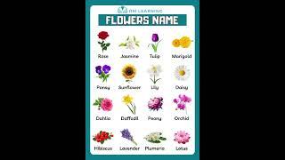 Flowers Name in English