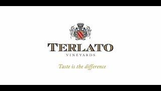 Terlato Vineyards Pinot Grigio Highlights 2018